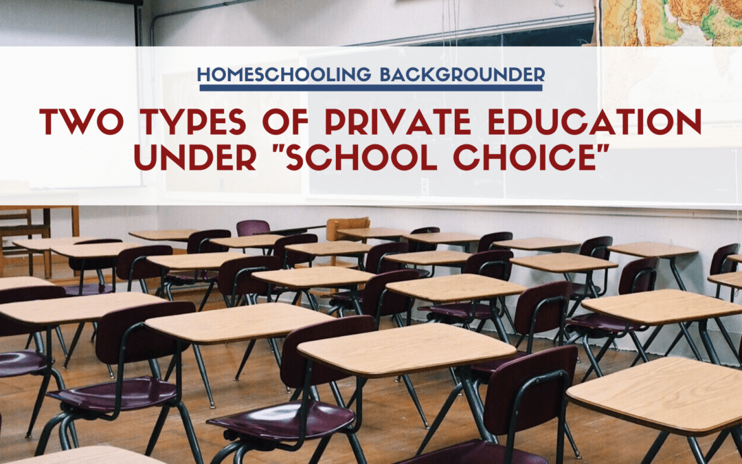 Two Types of Private Education Under “School Choice”
