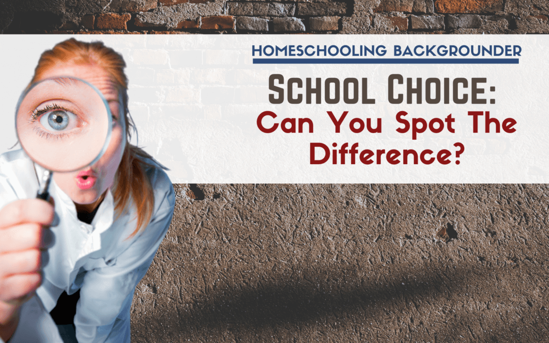 School Choice: Can You Spot The Difference?